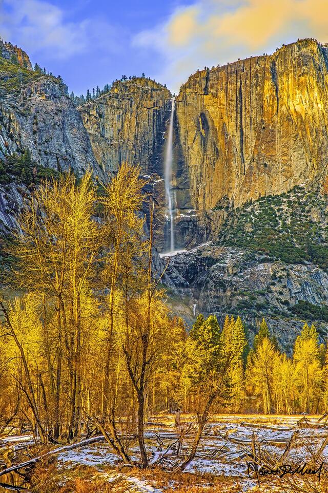 Sunset casts a golden glow on the cliffs and trees of Yosemite Valley, as Yosemite Falls plunges down into the valley below as the first snow lines meadows.