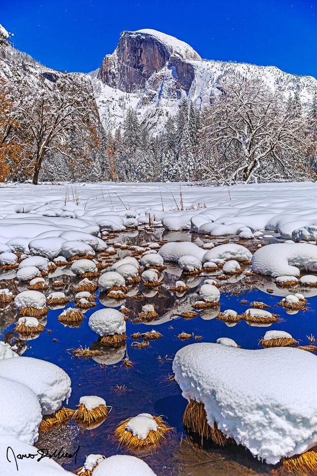Half Dome reflects in still waters as winter moonlight illuminates Yosemite Valley while snow blankets Cooks Meadow.