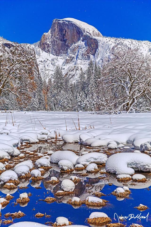 Half Dome reflects in still waters as winter moonlight illuminates Yosemite Valley while snow blankets Cooks Meadow.