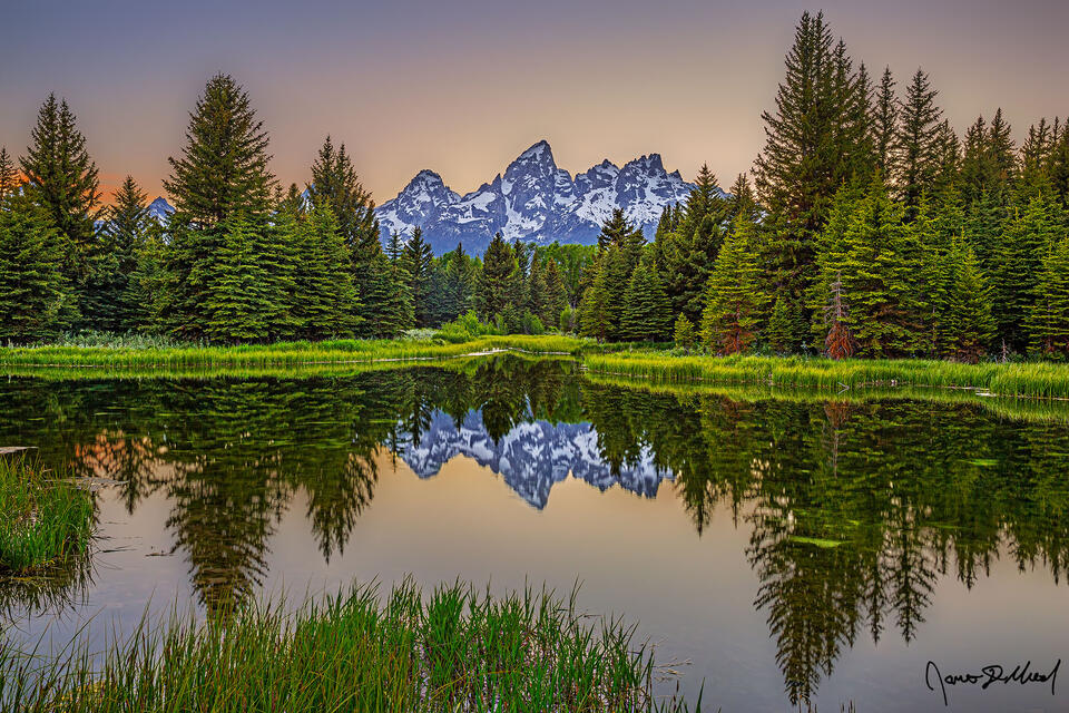 Sunset softly illuminates the skies over the Cathedral Group as the scene reflects in a Beaver Pond along the Snake River.