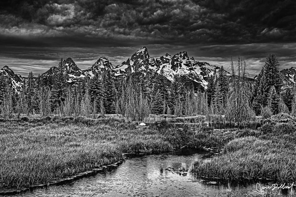 Black and White photo of a beaver bam along the Snake River as morning storm clouds during the golden hour blanket the skies above the Cathedral Group.