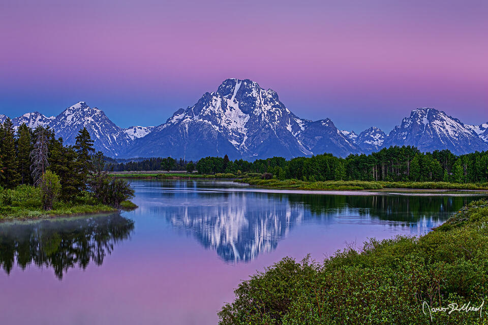 The soft colors of the Belt of Venus illuminate the sky at sunrise as the belt and Mount Moran and reflect in waters of the Snake River at Oxbow Bend