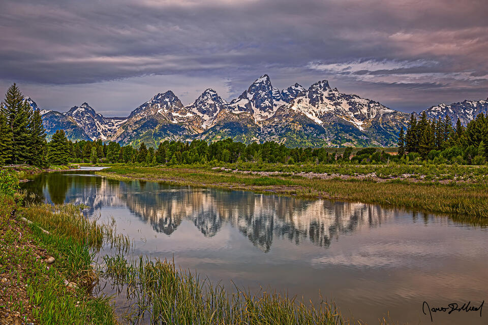 Morning Light over the Cathedral Group as the scene reflects in the still waters of a Beaver Pond along the Snake River.