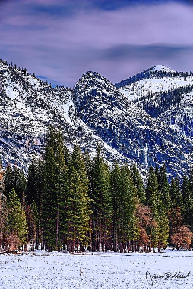 The skies darken above Grizzly Peak and Mount Star King as snow blankets Ahwahnee Meadow and Yosemite Valley as Pine trees rise up from the snow covered meadow