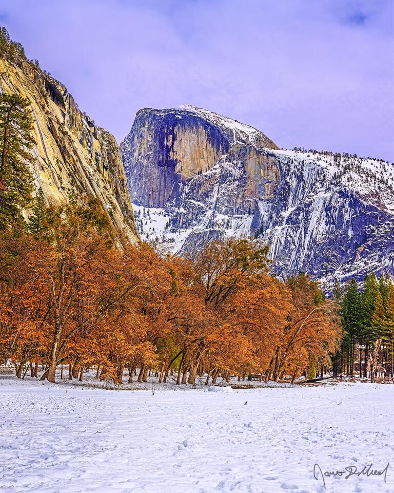 Sunset brings pastel color to the skies over Half Dome and Ahwahnee Meadow as snow blankets the Yosemite Valley floor.