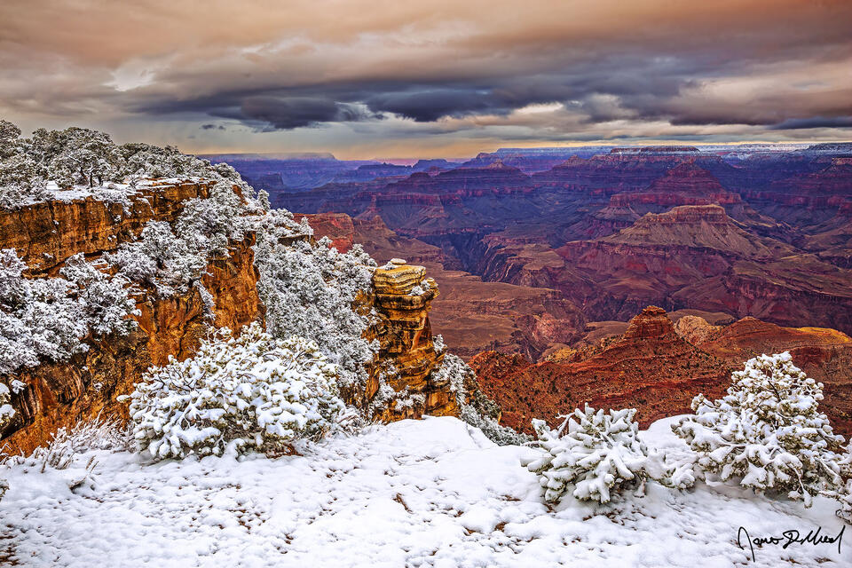 Soft pastel color illuminate the clouds over the Grand Canyon at sunrise as snow from a winter storm covers the south rim creating a beautiful winter wonderland