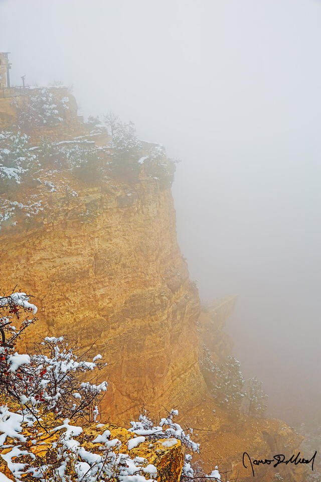 Snow lines the top of the Grand Canyon during a winter storm as fog and clouds begin to form in the canyon, forming a temperature inversion (thermal inversion,