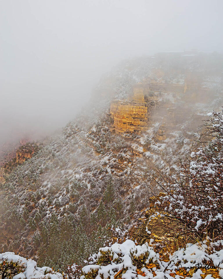 Snow lines the Grand Canyon during a winter storm as a temperature inversion (thermal inversion, cloud inversion) begins to partially fill the canyon.