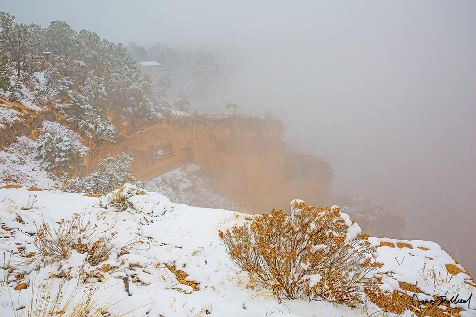 Snow lines the top of the Grand Canyon during a winter storm as a temperature inversion begins to fill the canyon below.