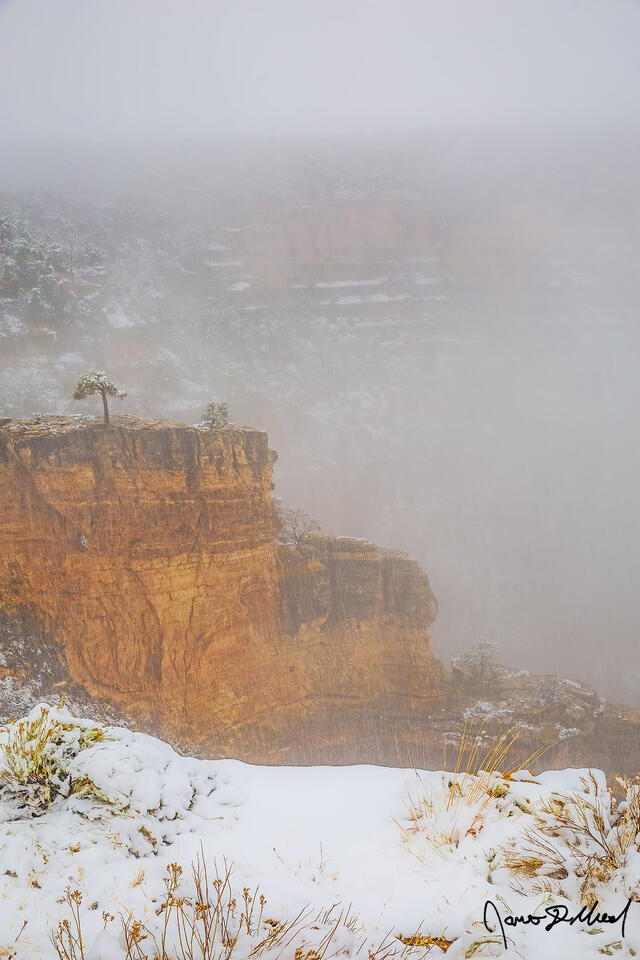 Snow lines the top of the Grand Canyon during a winter storm as a temperature inversion begins to fill the canyon below.