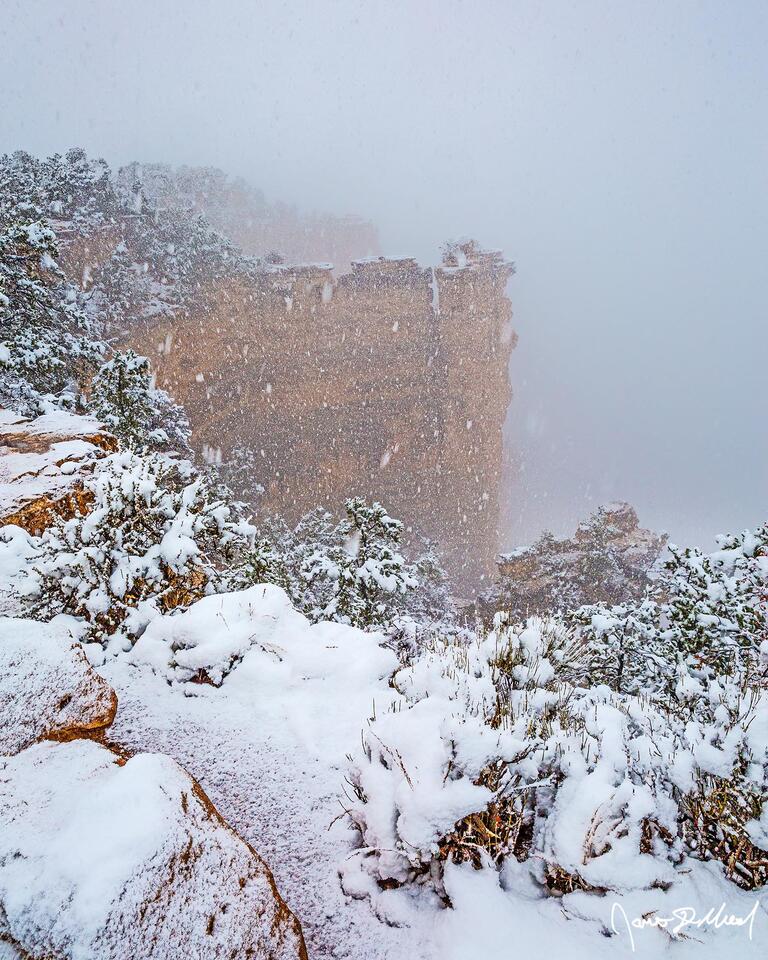 Snow blankets the South Rim of the Grand Canyon during a winter snow storm as a clouds fill the canyon below.