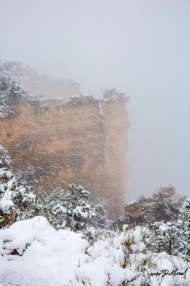 Snow blankets the South Rim of the Grand Canyon during a winter snow storm as a clouds fill the canyon below.