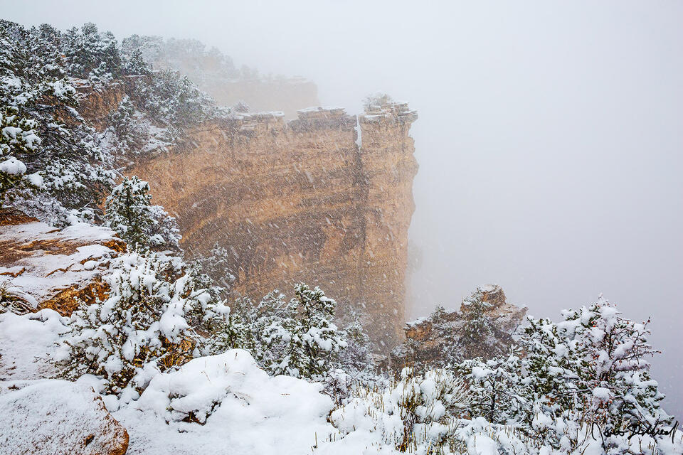 Snow blankets the South Rim of the Grand Canyon during a winter snow storm as a clouds fill the canyon below.