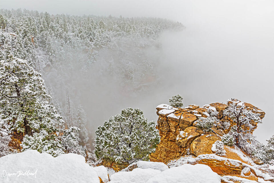 Snow lines the tree tops and cliff tops along the South Rim as a temperature inversion causes clouds to fill the Grand Canyon below.