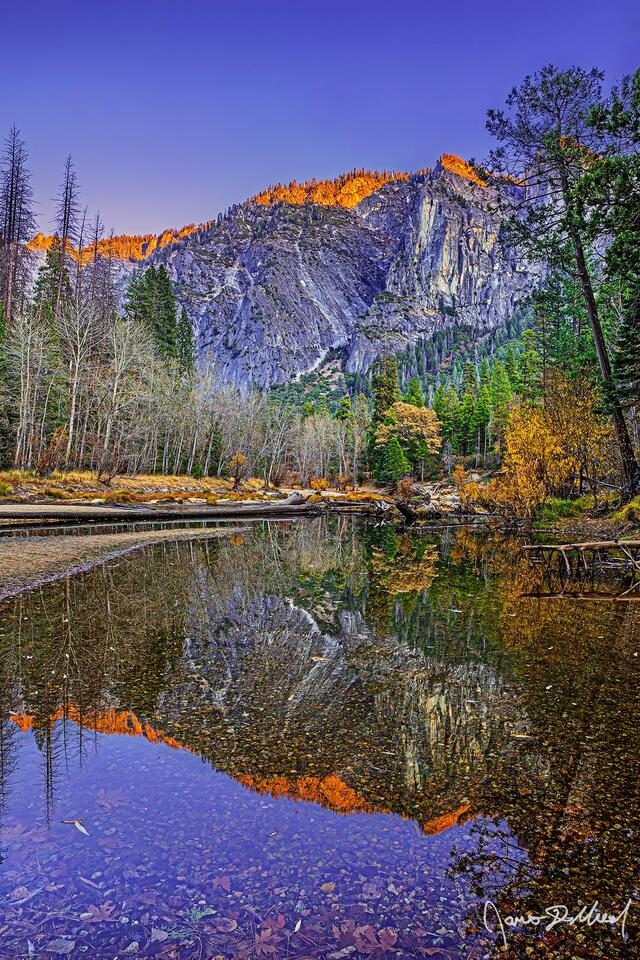 Alpenglow at sunset illuminates the granite cliffs high above Yosemite Valley as the last bit of fall color hangs on along the riverbank Merced River.
