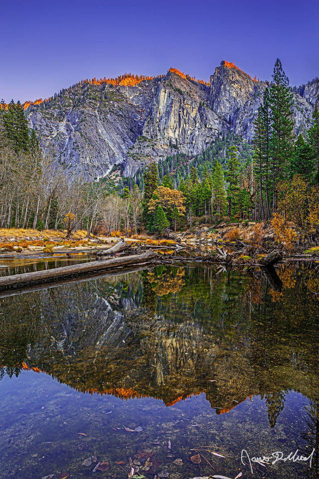 Alpenglow at sunset illuminates the granite cliffs high above Yosemite Valley as the last bit of fall color hangs on along the riverbank Merced River.