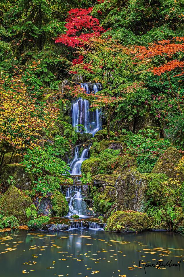 Water tumbles down Heavenly Falls and into the pond as fall color begins to adorn the surrounding trees with shades of autumn.