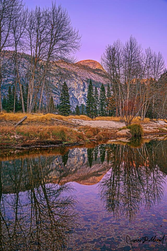 Alpenglow illuminates North Dome and the skies above with soft pastel hues while the last few leaves of late fall cling to the trees along the Merced River 