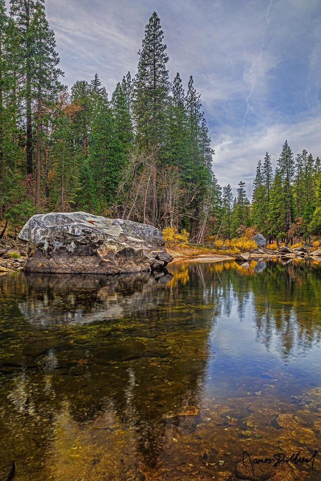The last colors of late fall line the shore of the Merced River as the trees, granite boulders and the sky reflect in the crystal clear waters below.