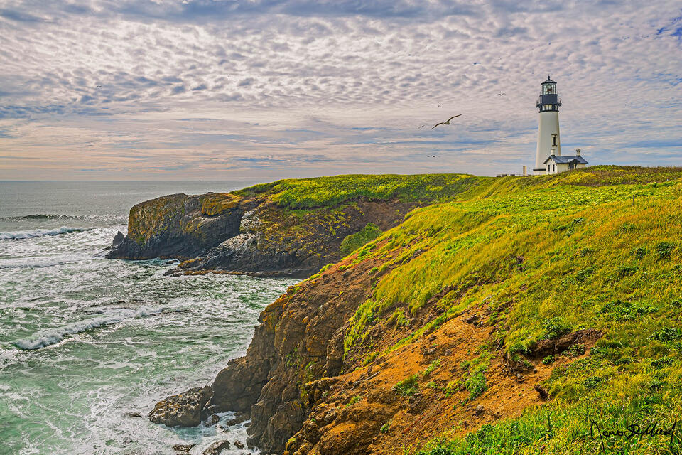 Seagulls fly in the skies over Yaquina Head Lighthouse and the Pacific Ocean as the Golden Hour sets in.