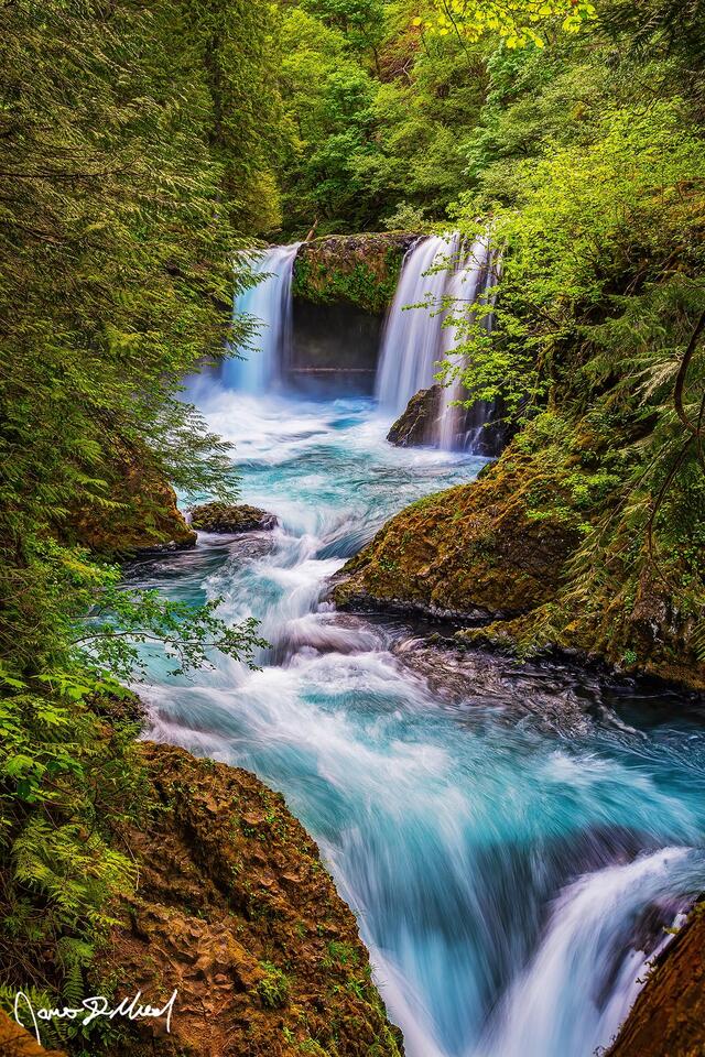 Surrounded by trees hidden deep in the forest, turquoise water flows over the ledge into the pool and through the narrow channel of the canyon.