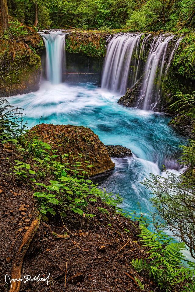 Turquoise glacial water flows over the cliffs into an emerald blue pool deep in the forest.