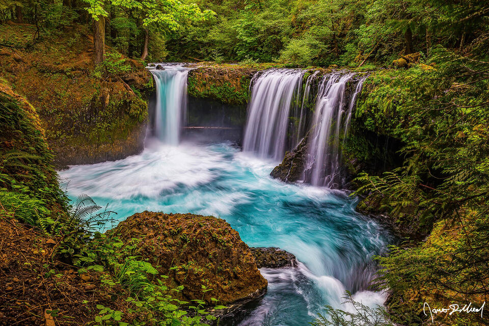 Deep in the forest, the turquoise glacial water of Spirit Falls flows over the cliffs into a turquoise pool below along the Little White Salmon River.