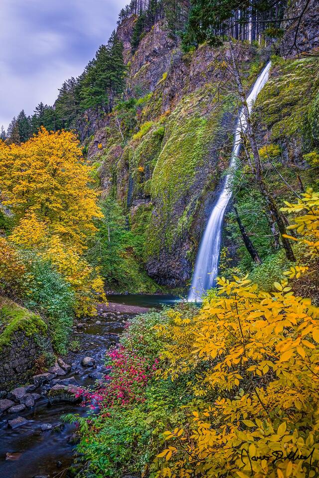 Horsetail Falls tumbled 176 feet over the cliffs of the Columbia River Gorge as the colors of Autumn line the shore.