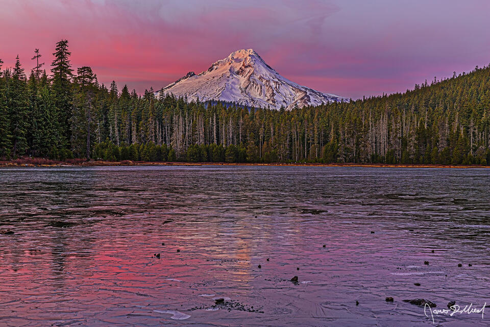 Alpenglow illuminates Mount Hood as the surrounding forest still glows in the lingering light. A thin sheet of ice begins to seal quiet, cold Frog Lake below.
