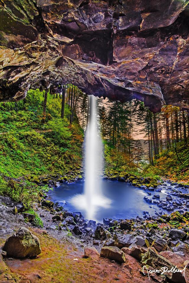 Ponytail Falls plunges 88 feet over the basalt cliffs of the Columbia River Gorge into a pool of water along Horsetail Creek, as soft light filters through.