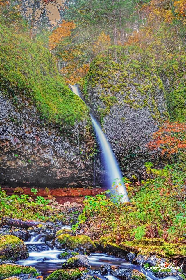 Over the Edge - Ponytail Falls and Horsetail Creek Fall Colors in the Columbia River Gorge