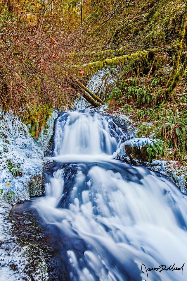 Ice lines the cliffs next to Shepperd's Dell Falls and Youngs Creek during a winter deep freeze which plunged temperatures in the area down to around 14°F