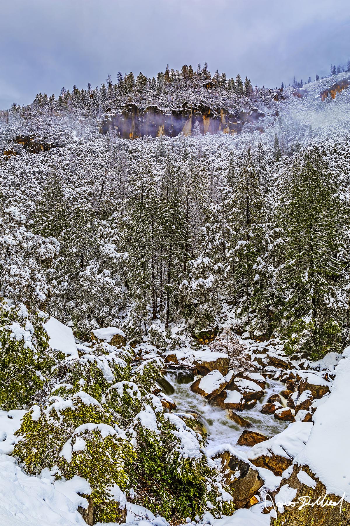 Wild Winter Snow from a winter storm blankets the rocks, trees and hillside of Yosemite as the waters of the Merced River flow downstream between the snow covered rocks