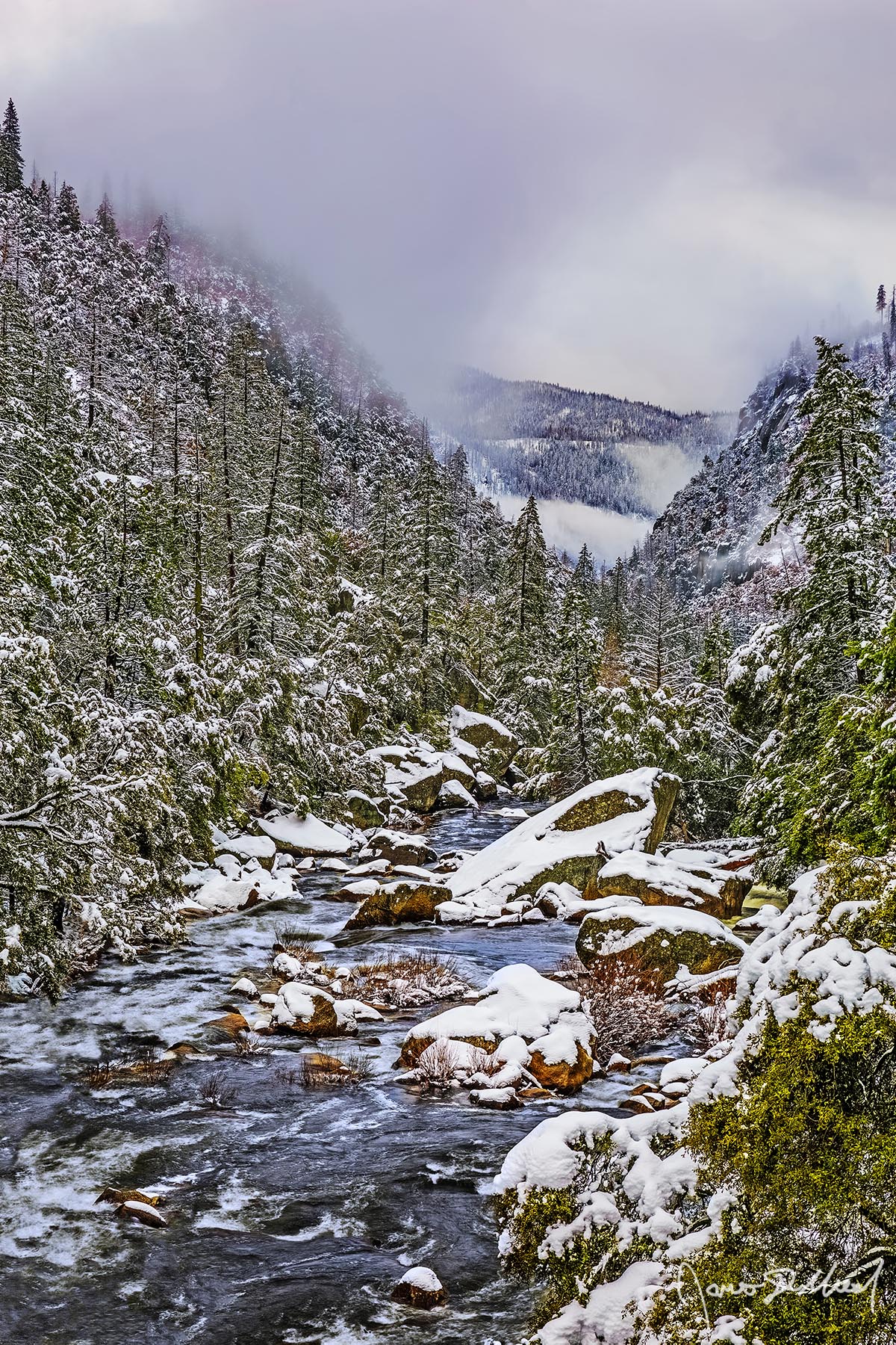 River Dream Snow from a winter storm blankets the Merced River Canyon in Yosemite as fog envelopes the surrounding cliffs above the Merced River.