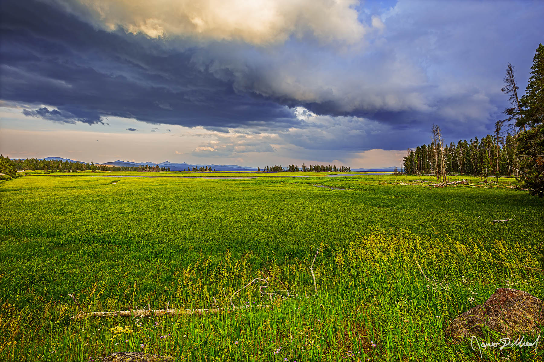 As It Always Was Storm clouds form at sunset over Pelican Valley and the Yellowstone prairie in Yellowstone National Park.