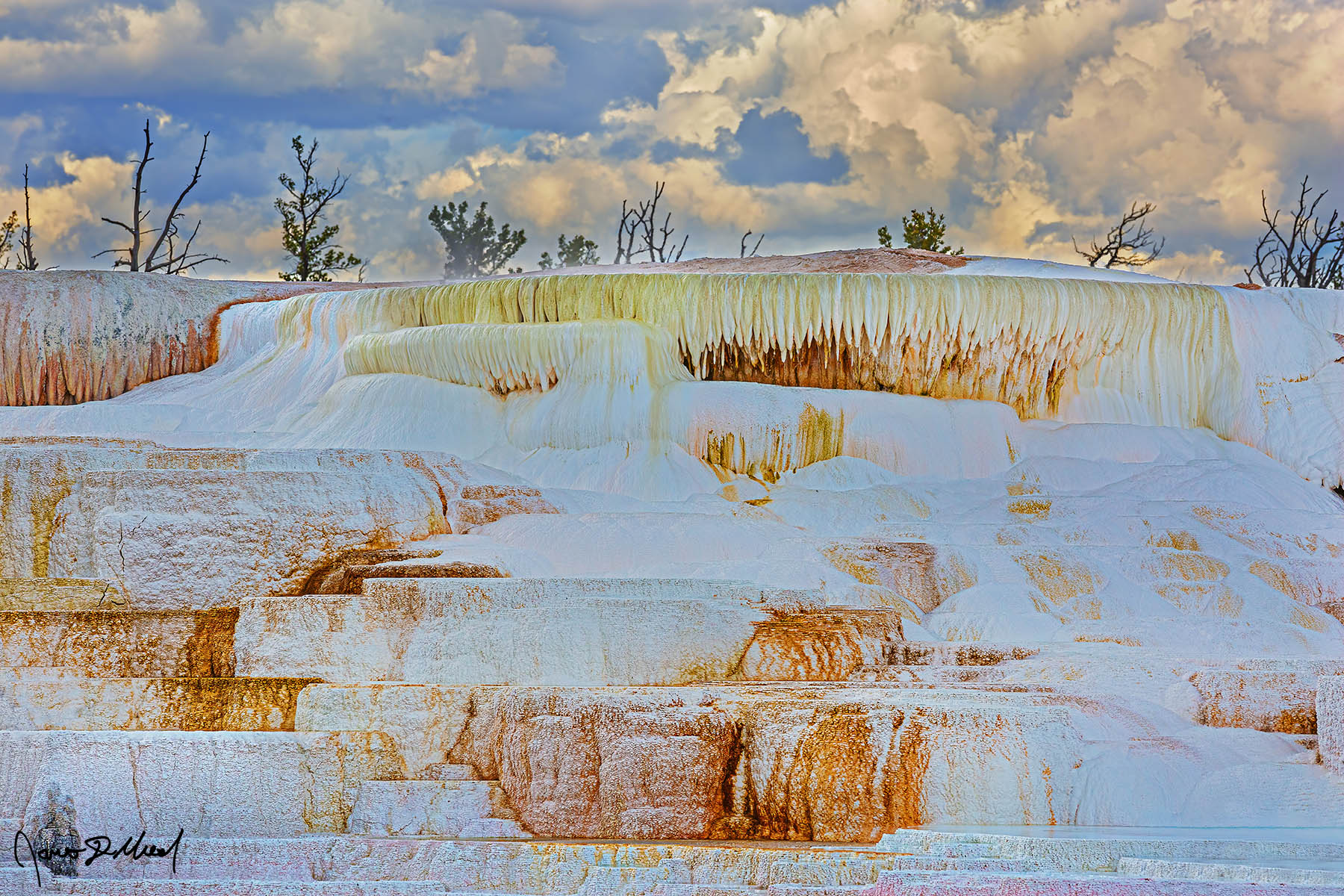Aphrodite's Playground Colors adorn the upper cliffs and formations of Aphrodite Terrace along the Upper Terraces of Mammoth Hot Springs in Yellowstone National Park at sunset.