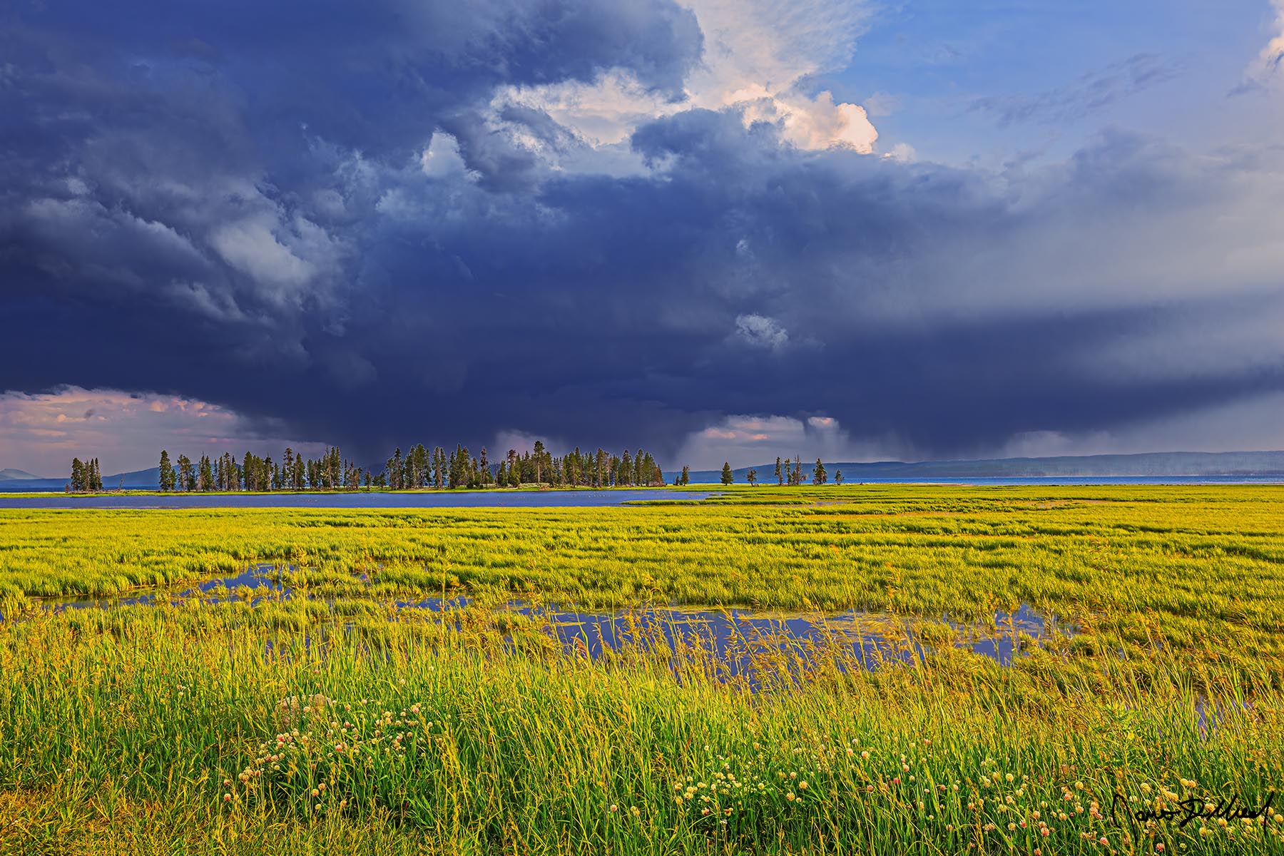 Hold The Line Storm clouds form over Pelican Creek and the marshy meadows of Pelican Valley near sunset in Yellowstone National Park.