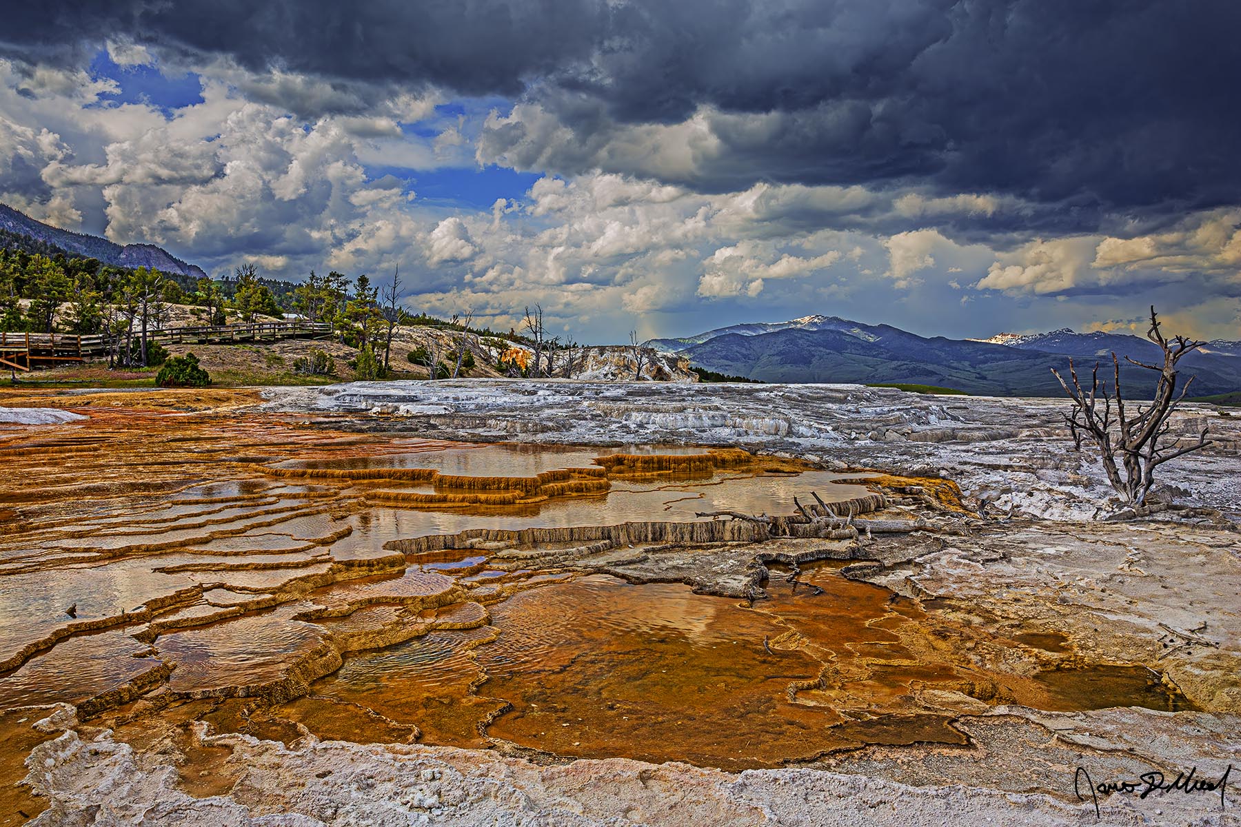Rolling Thunder Storm above the Upper Terraces of Mammoth Hot Springs, as bacteria create an orange colored mat in the thermal pool of Grassy Spring and Trail Springs.