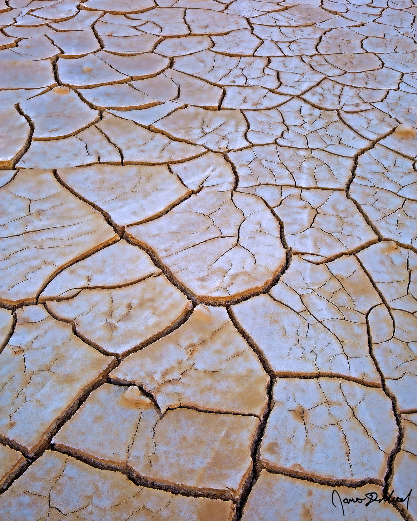 Jigsaw - Death Valley Mud Cracks, Death Valley National Park, California Dried mud in Death Valley National Park creates deep mud cracks shaped like geometric patterns.