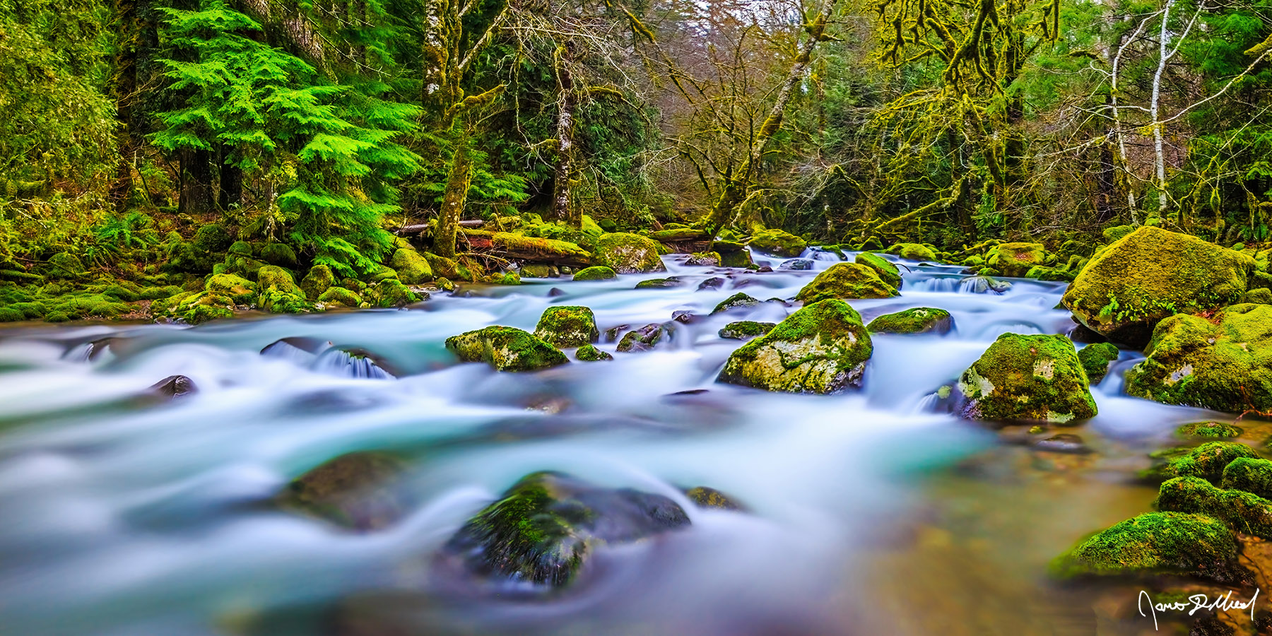 Emerald Mystery - Rock Creek Winter Panoramic, Upper Columbia River Gorge, Washington Rock Creek flows through the evergreen forests above the Columbia River Gorge during the winter.