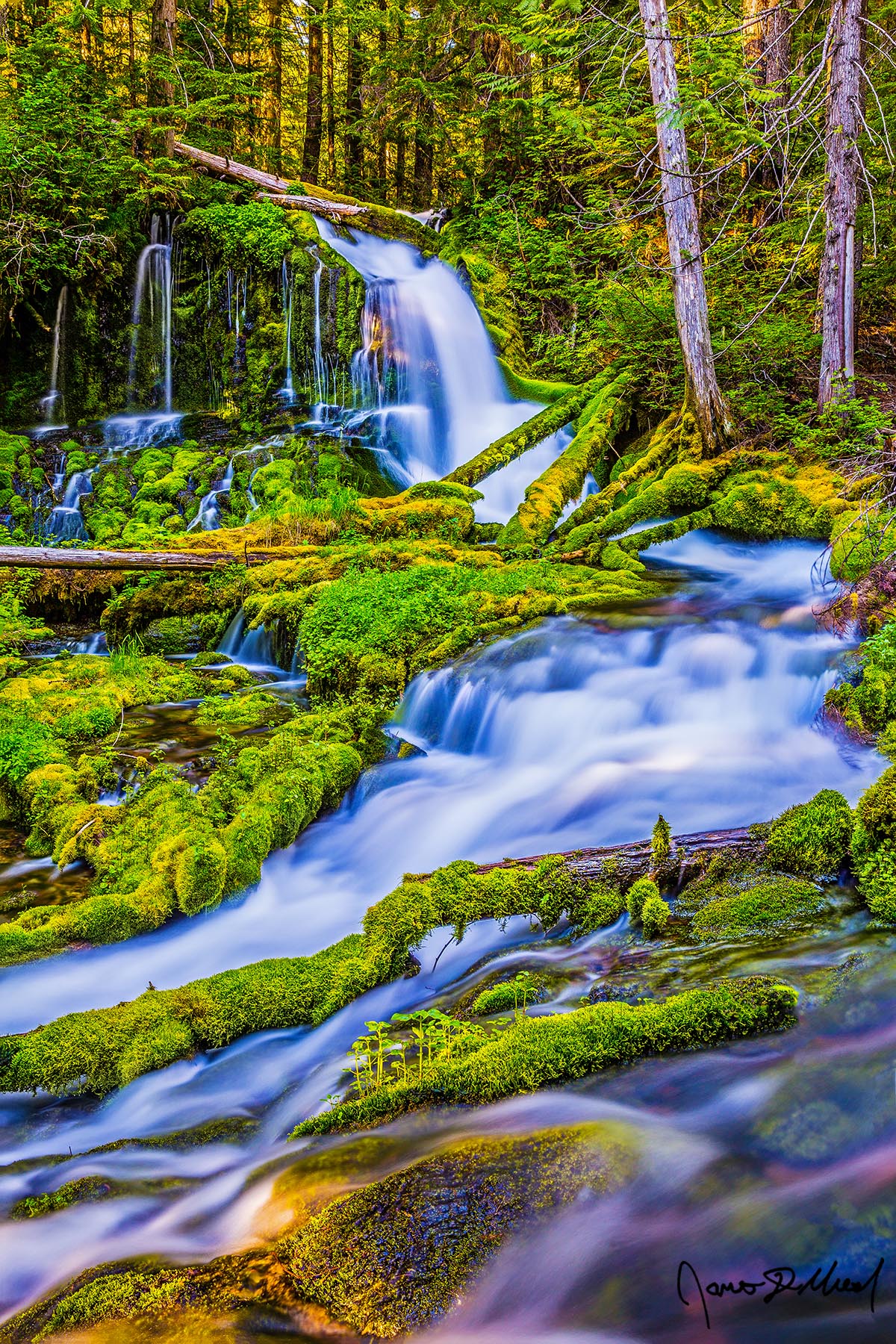 Forest Glen Surrounded by lush green forests of trees and moss covered fallen logs, Big Spring Creek Falls flows down the hillside dropping of 49 feet across three tiers.