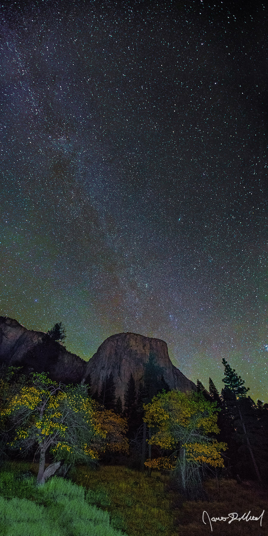 Skyward Paradise Dogwood Trees line Yosemite Valley in front of El Capitan as the Winter Milky Way rises high into the night sky illuminated with green airglow.