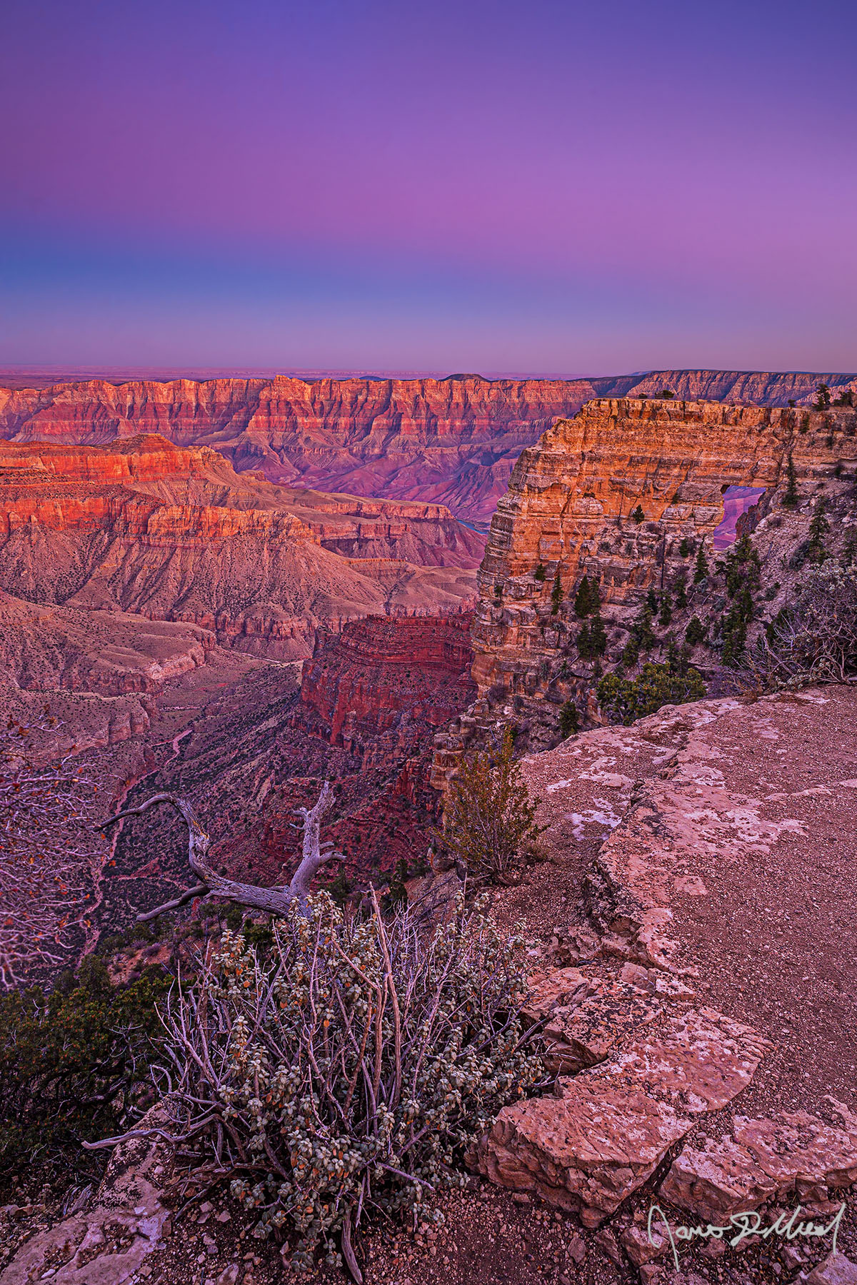 Levels - Belt of Venus Sunset over Angels Window, Unkar Creek, the Colorado River and Grand Canyon The Belt of Venus illuminates the sky at sunset over Angels Window, Apollo Temple and the other formations of the North Rim of the Grand Canyon