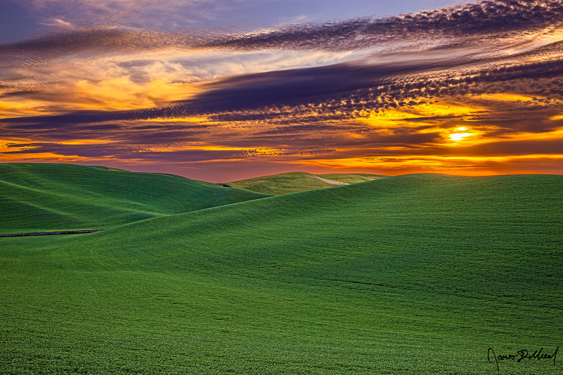 Field of Dreams Sunset illuminates the skies above the Palouse as a touch of sunlight warms the rolling fields of barley extending out towards the horizon.