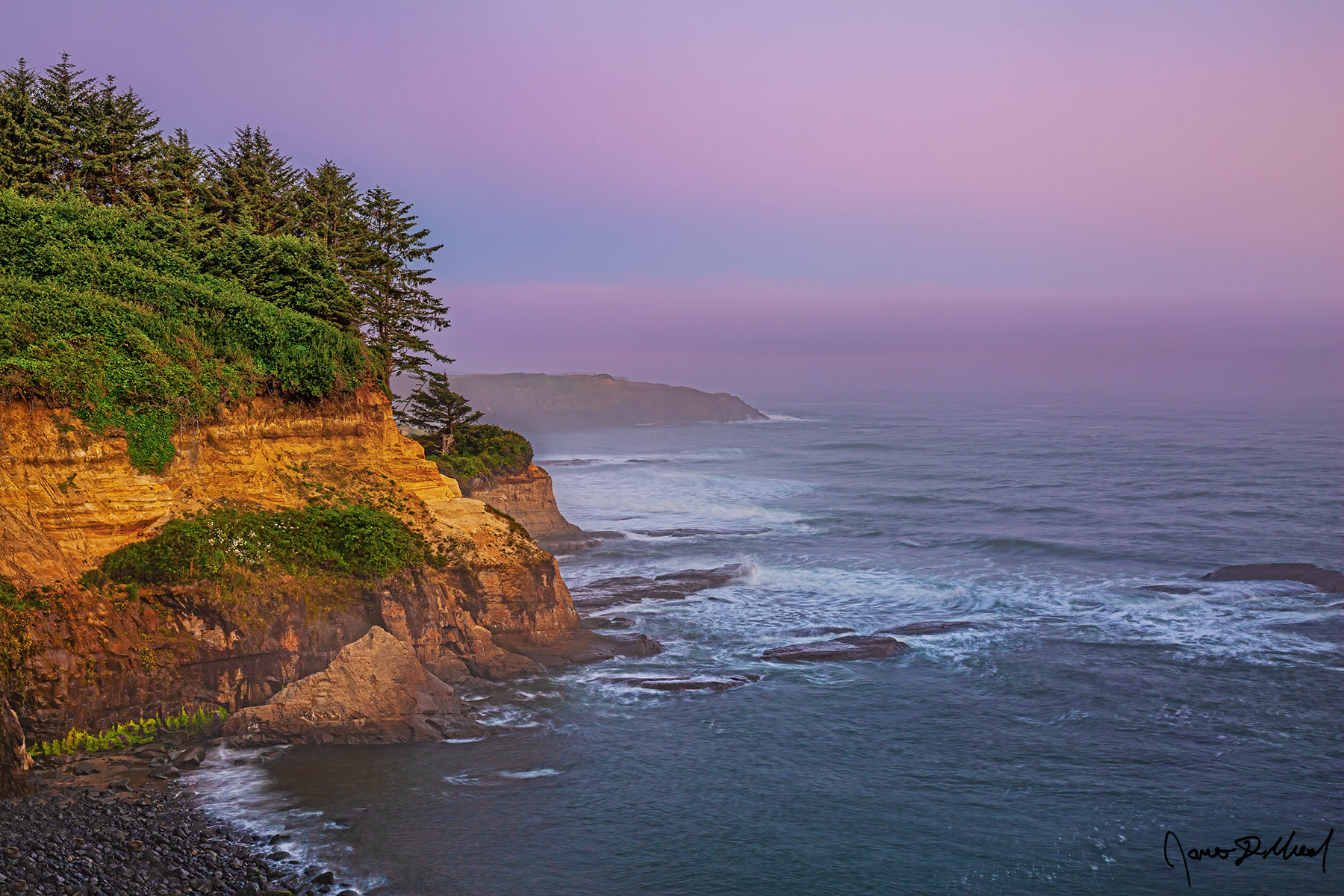 Revival Light fog blankets the Pacific Ocean and the headlands in the distance while morning twilight brings pastel colors to the skies above Boiler Bay.