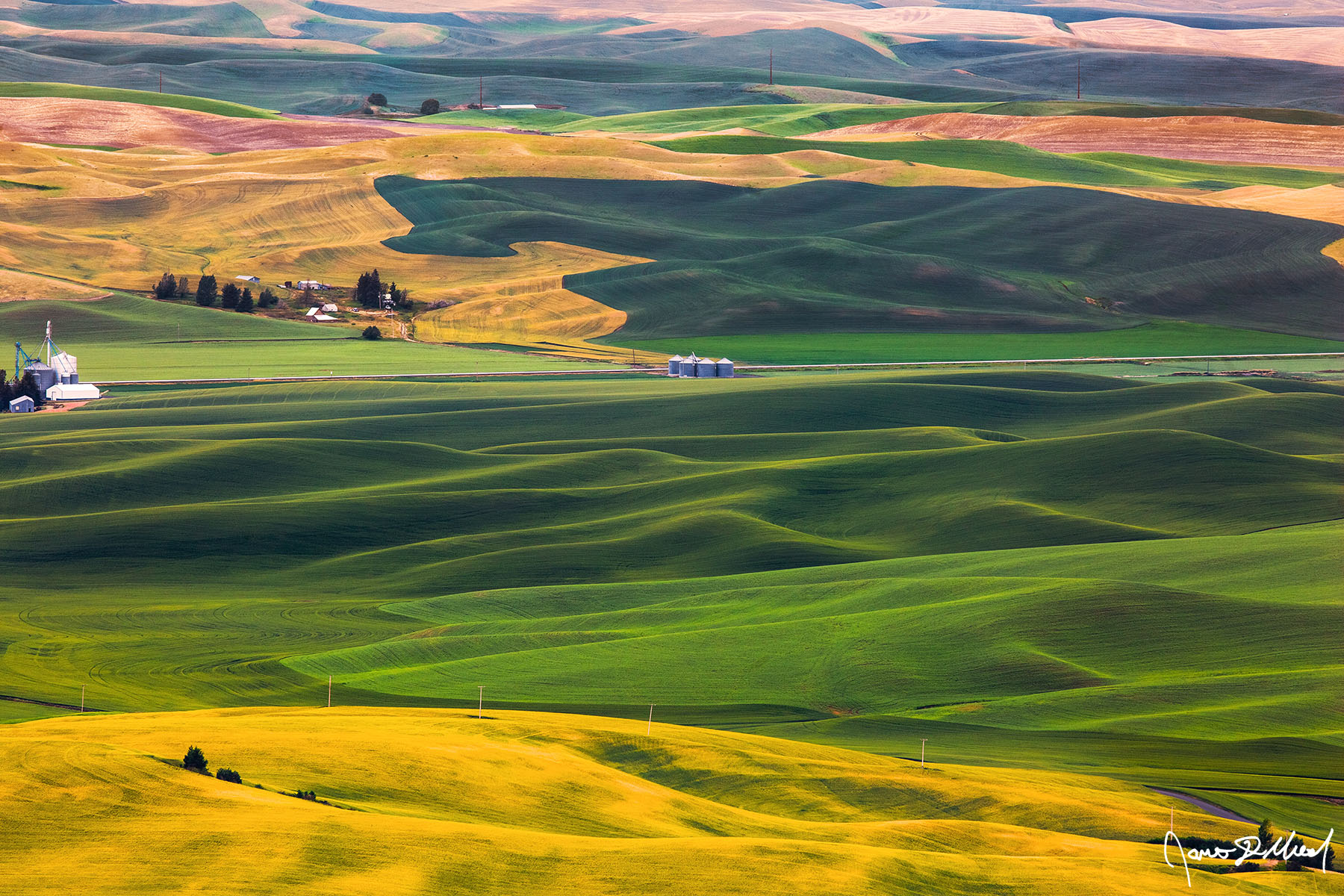 Patchwork Hills The greens, yellows and browns of wheat, barley, oats, lentils, Canola and Mustard line the hills of the rolling Palouse like patchwork on a quilt.