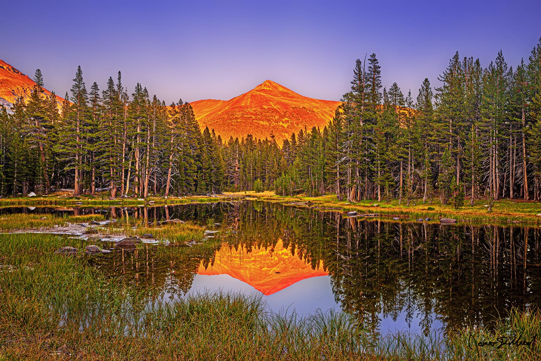 Still Life Alpenglow at sunset illuminates the slopes of Mount Gibbs a brilliant shade of red as the scene reflects in a pond in quiet alpine meadow.