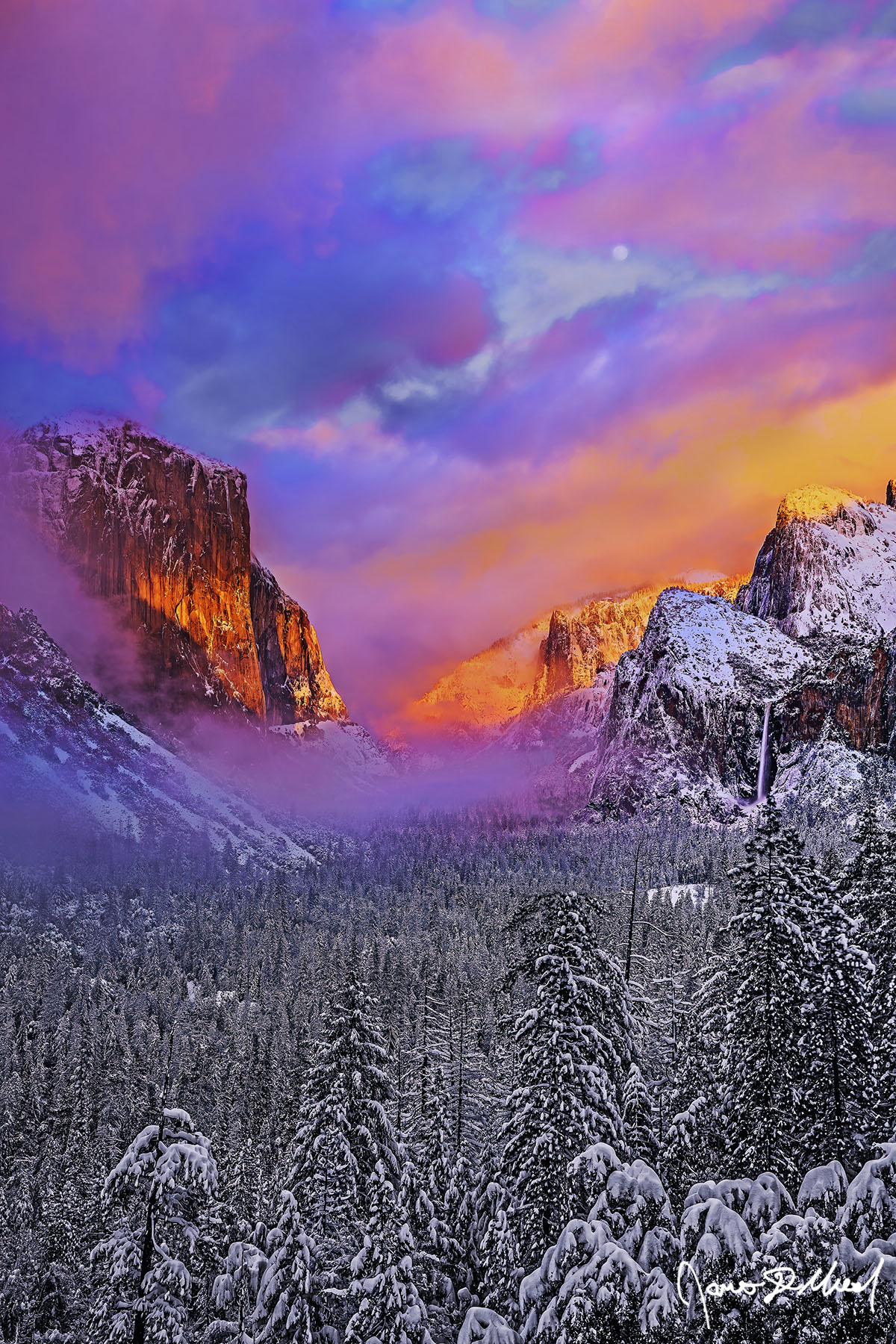 Ethereal Beauty Full Moon rises as sunset illuminates fog and snow covered cliffs of Yosemite Valley. Alpenglow illuminates fog cloaked El Capitan as Bridalveil Fall flows.