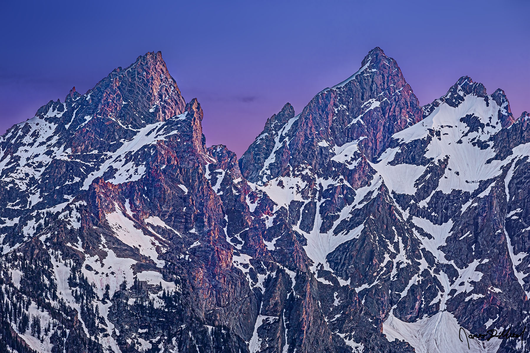 Cathedral Spires - Alpenglow Sunset on the Cathedral Group in Grand Teton National Park Pastel colors illuminate the sky at sunset as alpenglow begins to illuminate the upper slopes of Teewinot Mountain, Grand Teton and Mount Owen.