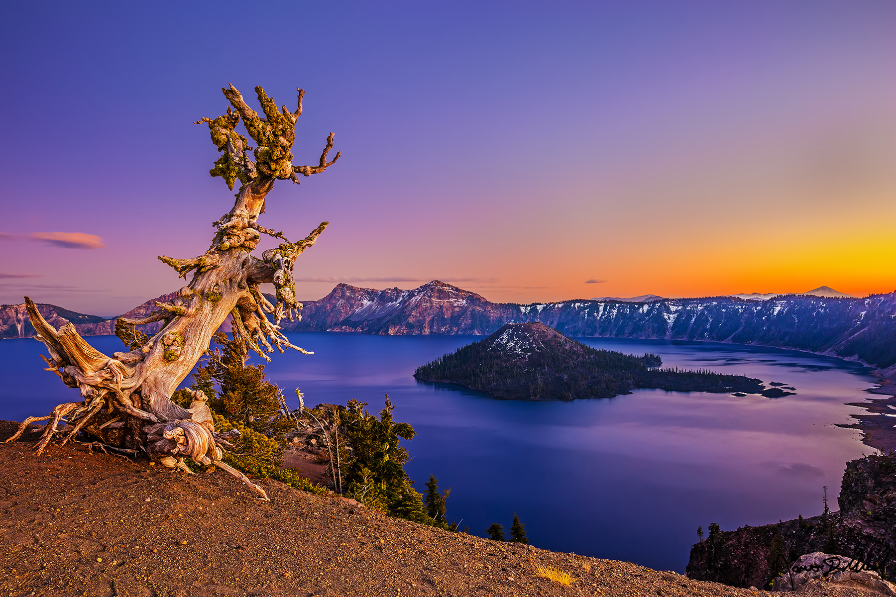 Sage's Wisdom - Sunset over Crater Lake, Wizard Island, and a Leaning Whitebark Pine on the West Rim A leaning Whitebark Pine grows on the West Rim of Crater Lake as alpenglow lights the skies and waters surrounding Wizard Island at sunset.